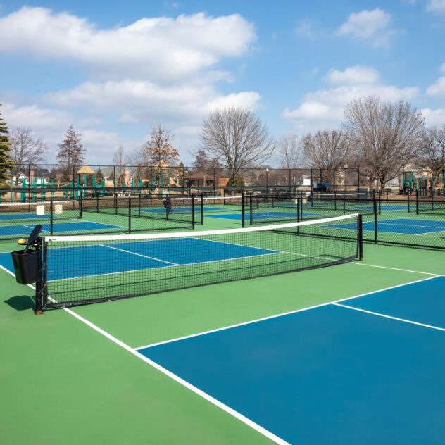 pickleball court stencil