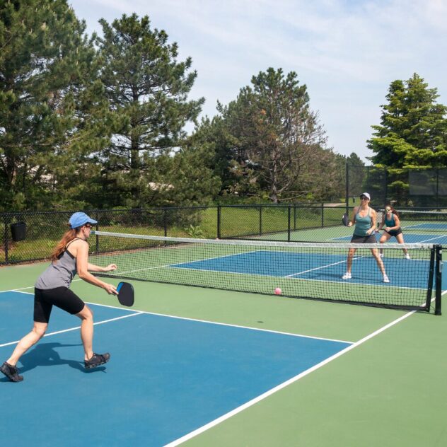 pickleball court maintenance
